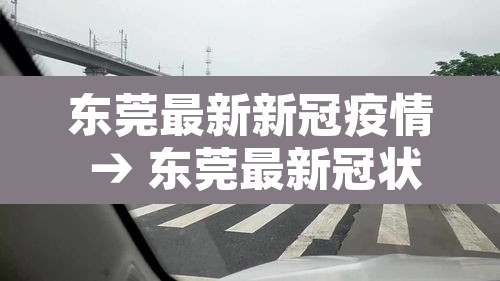东莞最新新冠疫情 → 东莞最新冠状病毒情况 东莞最新新冠疫情 → 东莞最新冠状病毒情况