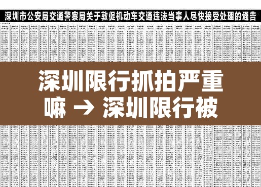 深圳限行抓拍严重嘛 → 深圳限行被拍罚多少 深圳限行抓拍严重嘛 → 深圳限行被拍罚多少