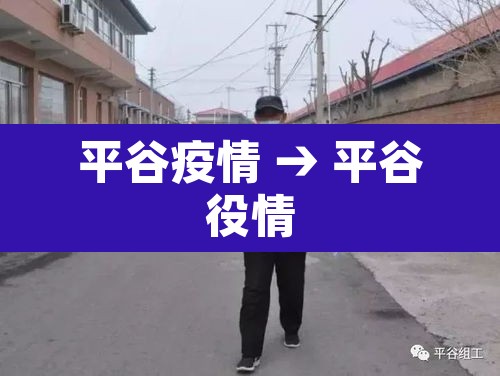 平谷疫情 → 平谷役情