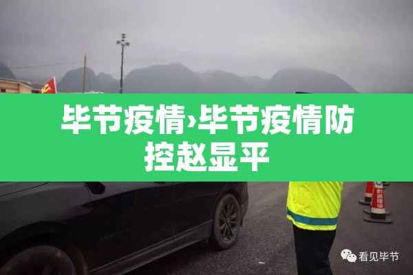 毕节疫情›毕节疫情防控赵显平