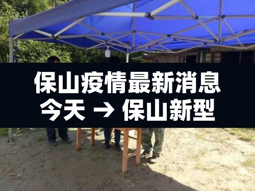 保山疫情最新消息今天 → 保山新型肺炎疫情最新消息