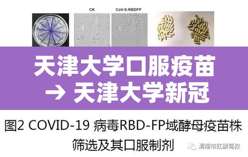 天津大学口服疫苗 → 天津大学新冠病毒疫苗 天津大学口服疫苗 → 天津大学新冠病毒疫苗