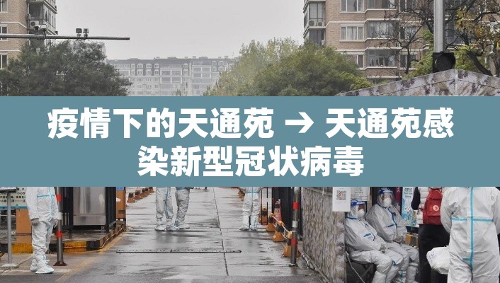 疫情下的天通苑 → 天通苑感染新型冠状病毒 疫情下的天通苑 → 天通苑感染新型冠状病毒