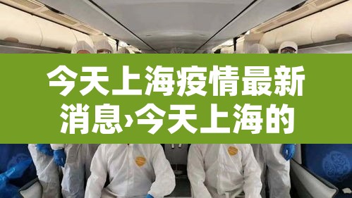 今天上海疫情最新消息›今天上海的疫情现在是什么情况 今天上海疫情最新消息›今天上海的疫情现在是什么情况