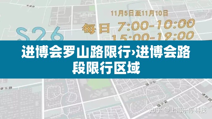 进博会罗山路限行›进博会路段限行区域