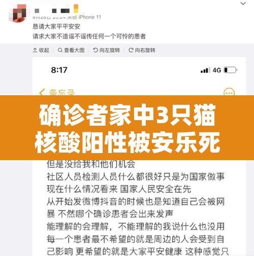 确诊者家中3只猫核酸阳性被安乐死:宠物猫核酸阳性 确诊者家中3只猫核酸阳性被安乐死:宠物猫核酸阳性
