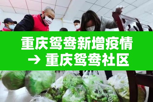 重庆鸳鸯新增疫情 → 重庆鸳鸯社区医院地址