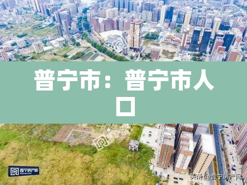 普宁市：普宁市人口