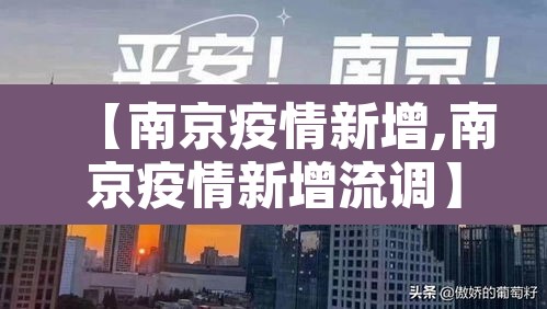 【南京疫情新增,南京疫情新增流调】