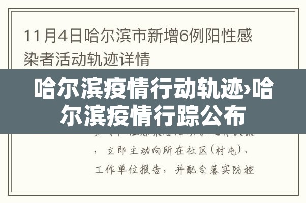 哈尔滨疫情行动轨迹›哈尔滨疫情行踪公布 哈尔滨疫情行动轨迹›哈尔滨疫情行踪公布