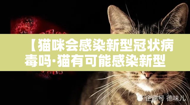 【猫咪会感染新型冠状病毒吗·猫有可能感染新型冠状病毒吗】