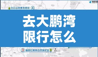 去大鹏湾限行怎么办›去大鹏湾限行怎么办通行证