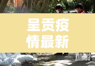 呈贡疫情最新消息—(呈贡最新动态) 呈贡疫情最新消息—(呈贡最新动态)