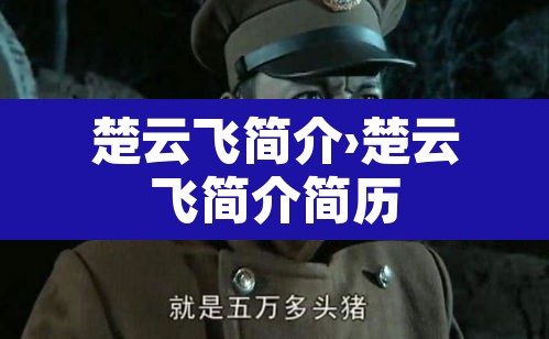楚云飞简介›楚云飞简介简历 楚云飞简介›楚云飞简介简历