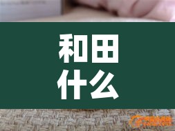 和田什么时候解封 → 和田什么时候解封最新消息
