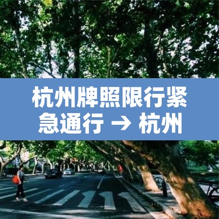 杭州牌照限行紧急通行 → 杭州牌照限行紧急通行规定 杭州牌照限行紧急通行 → 杭州牌照限行紧急通行规定