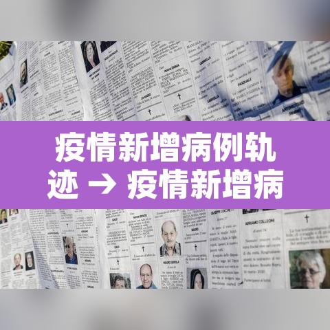 疫情新增病例轨迹 → 疫情新增病例轨迹查询