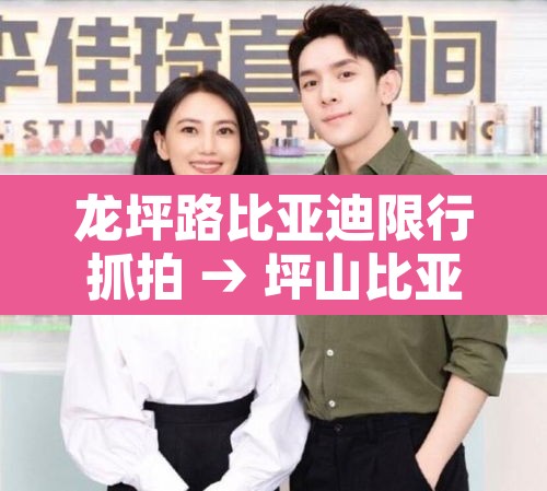 龙坪路比亚迪限行抓拍 → 坪山比亚迪路有限行拍照吗