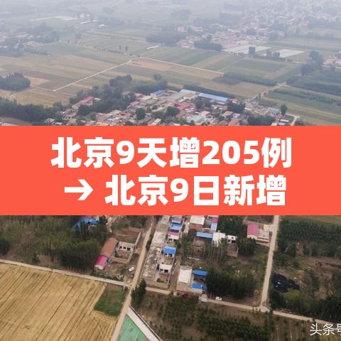 北京9天增205例 → 北京9日新增 北京9天增205例 → 北京9日新增