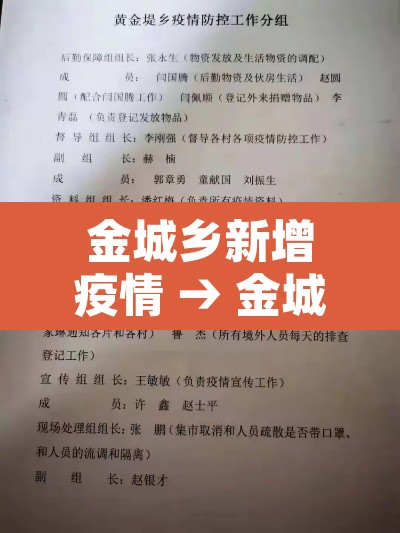 金城乡新增疫情 → 金城镇疫情