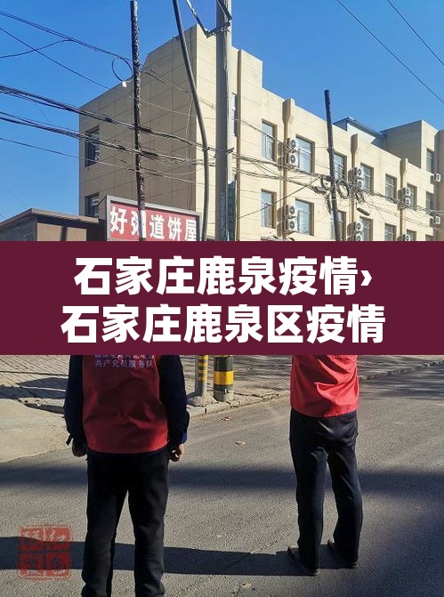 石家庄鹿泉疫情›石家庄鹿泉区疫情确诊 石家庄鹿泉疫情›石家庄鹿泉区疫情确诊
