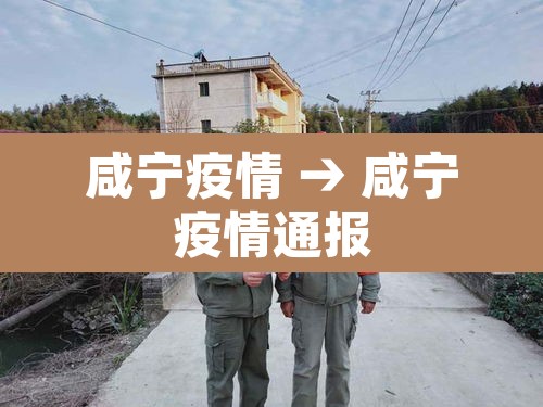 咸宁疫情 → 咸宁疫情通报