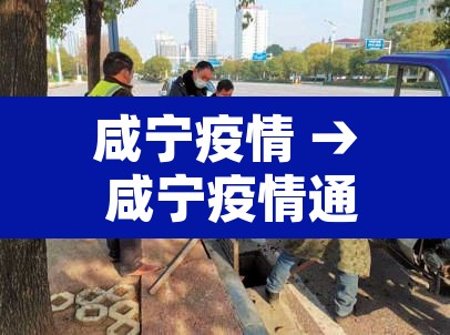 咸宁疫情 → 咸宁疫情通报