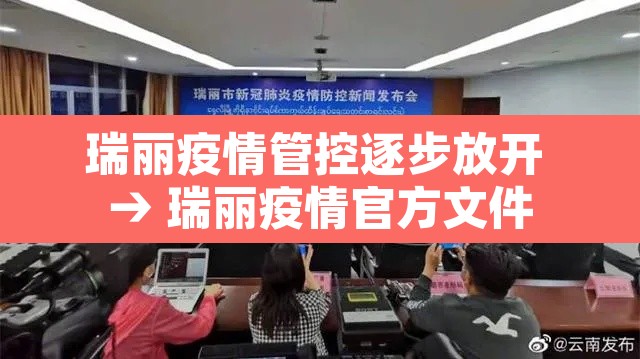 瑞丽疫情管控逐步放开 → 瑞丽疫情官方文件
