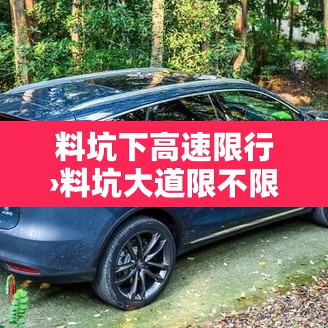 料坑下高速限行›料坑大道限不限行 料坑下高速限行›料坑大道限不限行