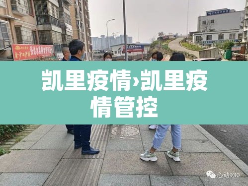 凯里疫情›凯里疫情管控 凯里疫情›凯里疫情管控