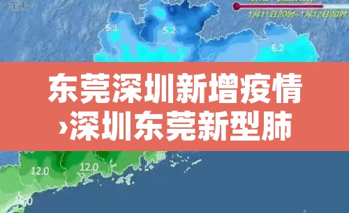 东莞深圳新增疫情›深圳东莞新型肺炎