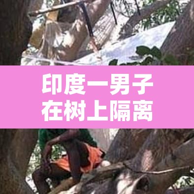 印度一男子在树上隔离11天 → 印度一男子在树上隔离11天图片
