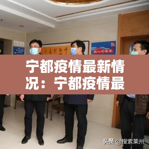 宁都疫情最新情况：宁都疫情最新情况通报