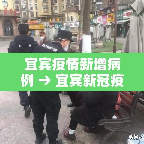 宜宾疫情新增病例 → 宜宾新冠疫情通报
