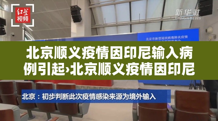北京顺义疫情因印尼输入病例引起›北京顺义疫情因印尼输 北京顺义疫情因印尼输入病例引起›北京顺义疫情因印尼输