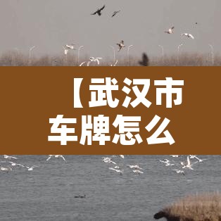 【武汉市车牌怎么限行·武汉车牌限行政策】 【武汉市车牌怎么限行·武汉车牌限行政策】