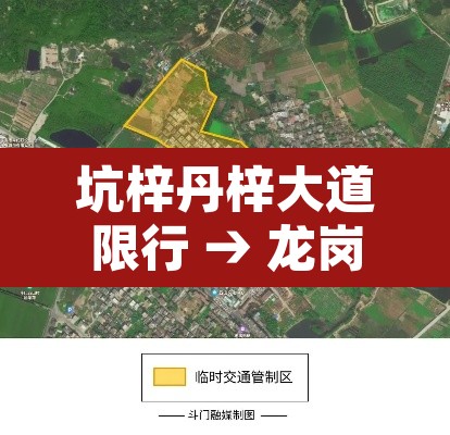 坑梓丹梓大道限行 → 龙岗丹梓大道有限行吗