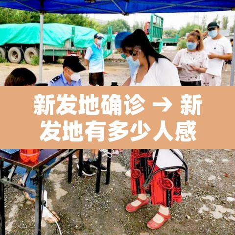 新发地确诊 → 新发地有多少人感染