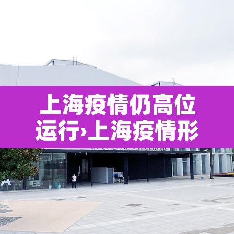 上海疫情仍高位运行›上海疫情形势严峻