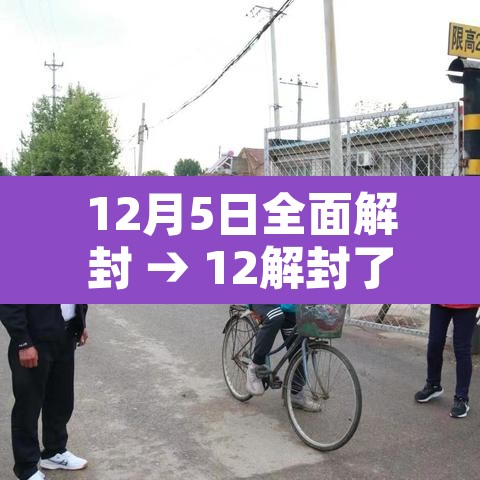 12月5日全面解封 → 12解封了