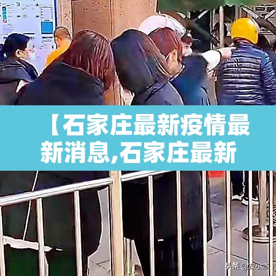 【石家庄最新疫情最新消息,石家庄最新疫情动态】