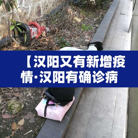 【汉阳又有新增疫情·汉阳有确诊病例】 【汉阳又有新增疫情·汉阳有确诊病例】