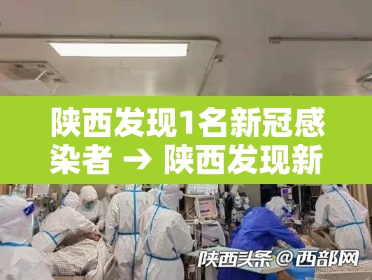 陕西发现1名新冠感染者 → 陕西发现新冠病毒 陕西发现1名新冠感染者 → 陕西发现新冠病毒