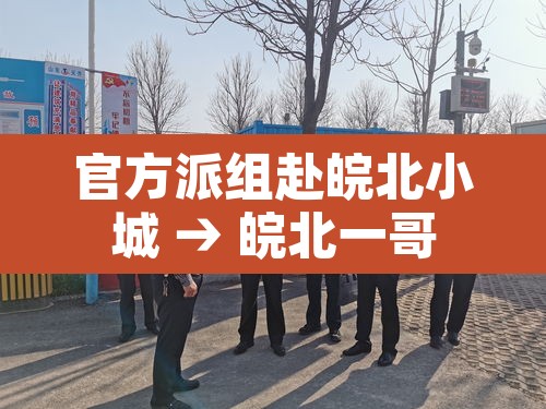 官方派组赴皖北小城 → 皖北一哥