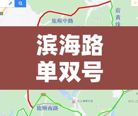 滨海路单双号限行周末›2020年滨海路限行规定
