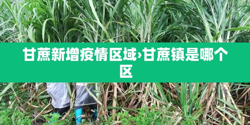 甘蔗新增疫情区域›甘蔗镇是哪个区