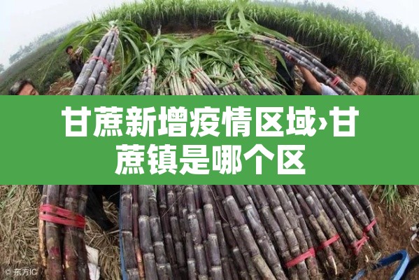 甘蔗新增疫情区域›甘蔗镇是哪个区