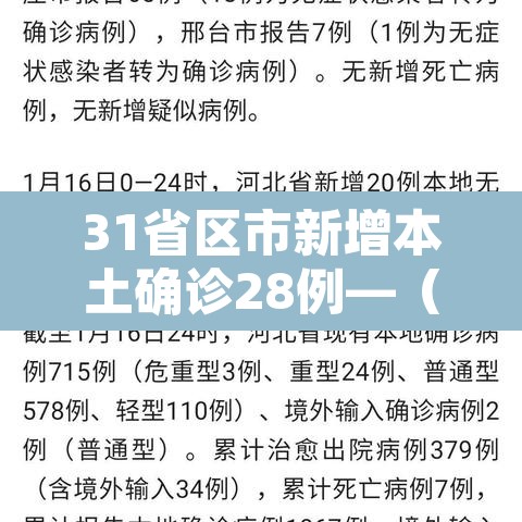 31省区市新增本土确诊28例—（31省区市新增确诊30例本土12例）