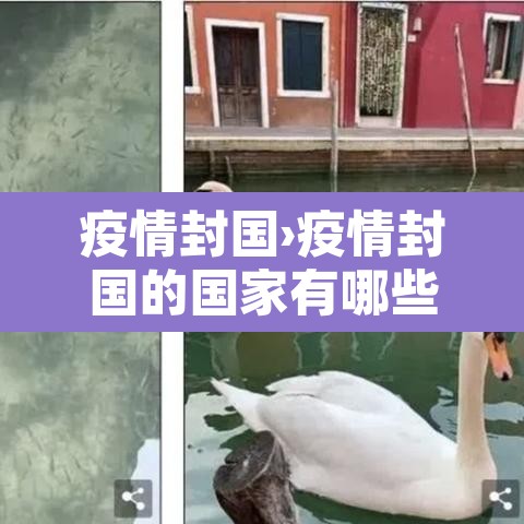 疫情封国›疫情封国的国家有哪些