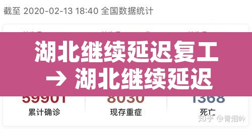 湖北继续延迟复工 → 湖北继续延迟复工荆州市疫情怎么样